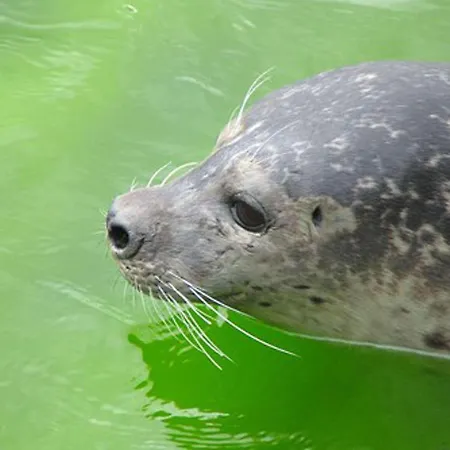 Haus-dreilanden-whg-05 Apartamento